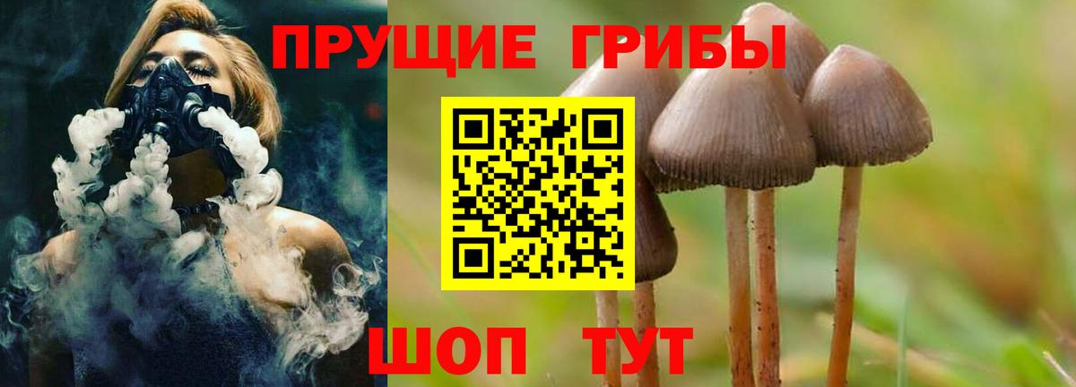 Кувандык  Псилоцибиновые грибы Cubensis  Вход с VPN 